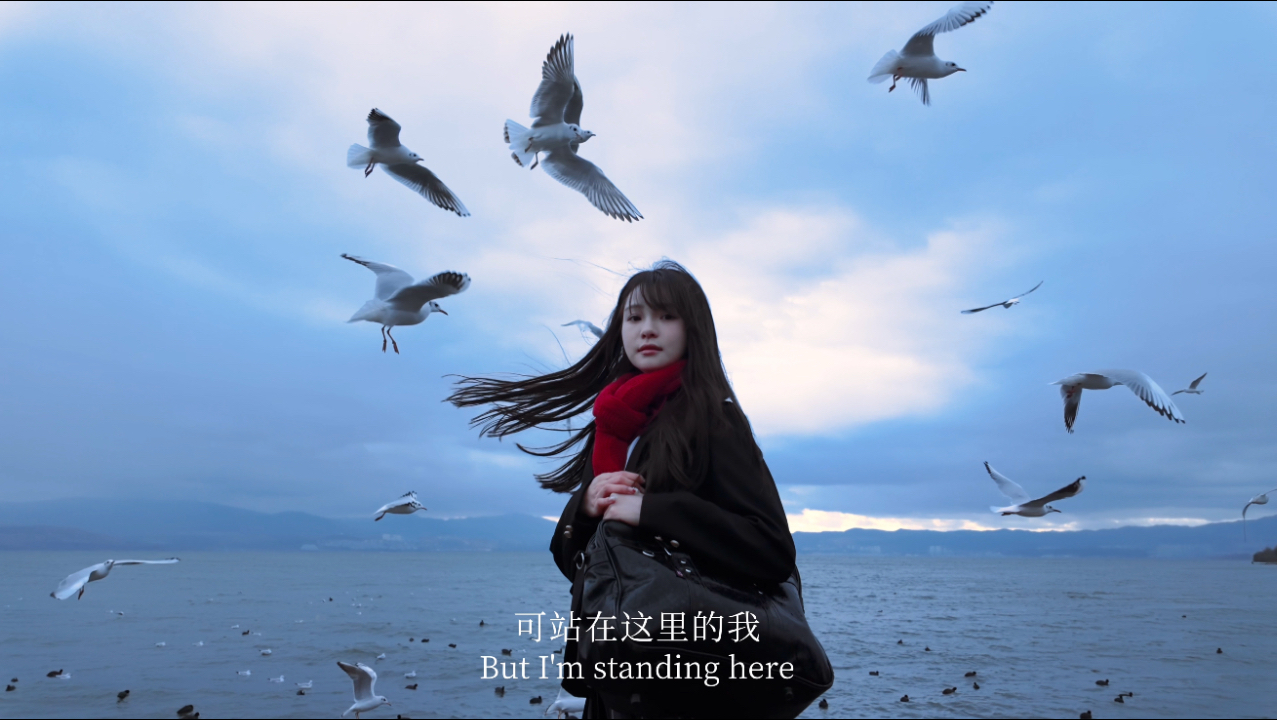 “听，海鸥在诉说海的故事”