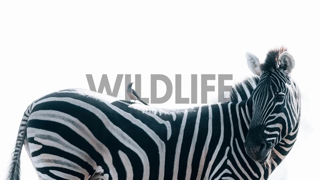 Your Landscape Kit Is Already a Wildlife Kit