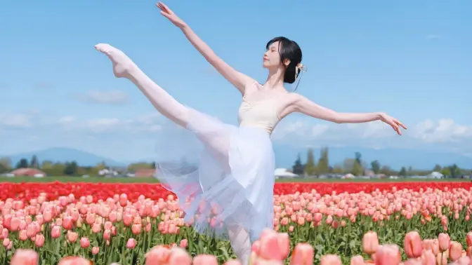 在郁金香花田里当一回公主《枕边童话》