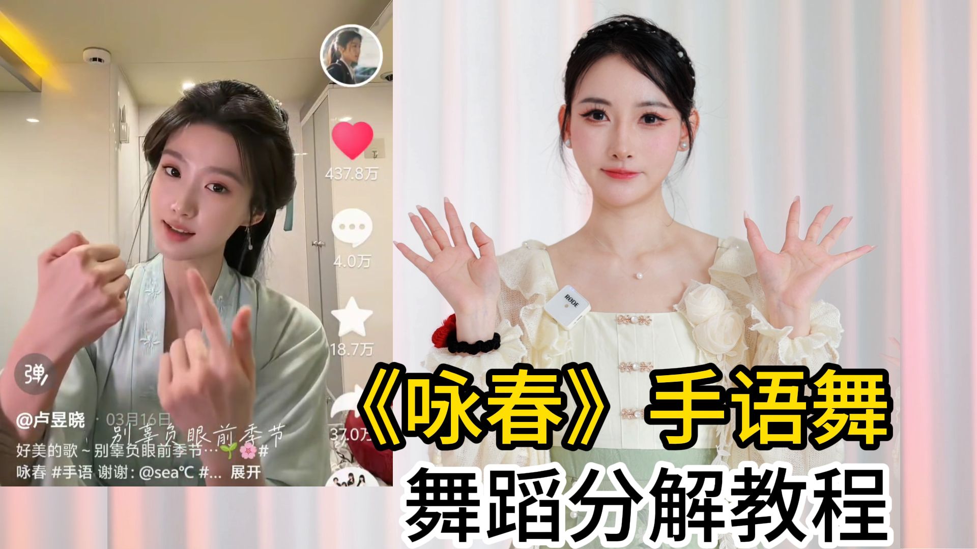 有手就会！《咏春》手语舞-舞蹈分解教程【紫嘉儿】
