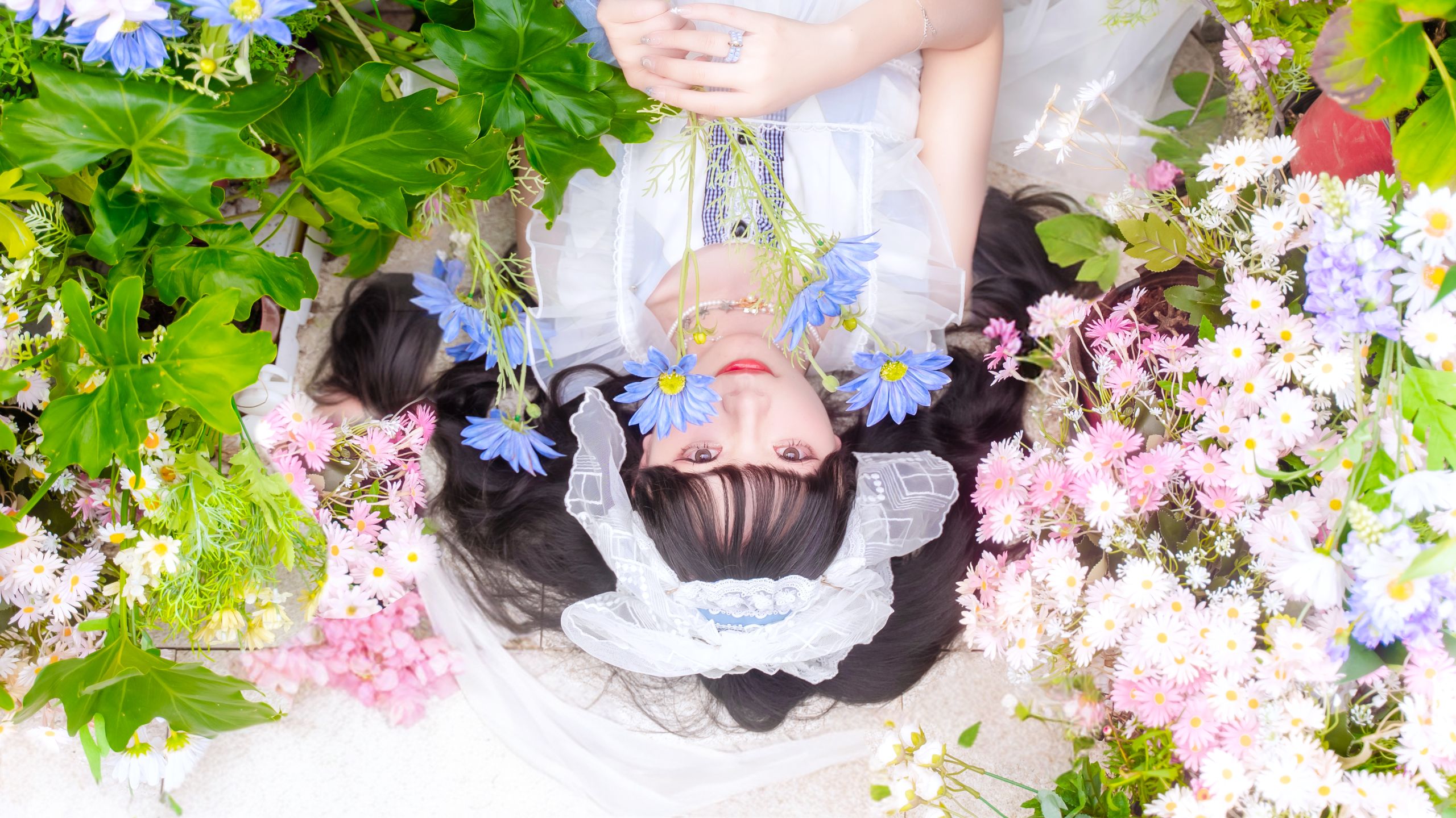 我们之间是恋爱的𝑴𝒂𝒈𝒏𝒆𝒕𝒊𝒄✧︎* 🌸 ILLIT出道曲