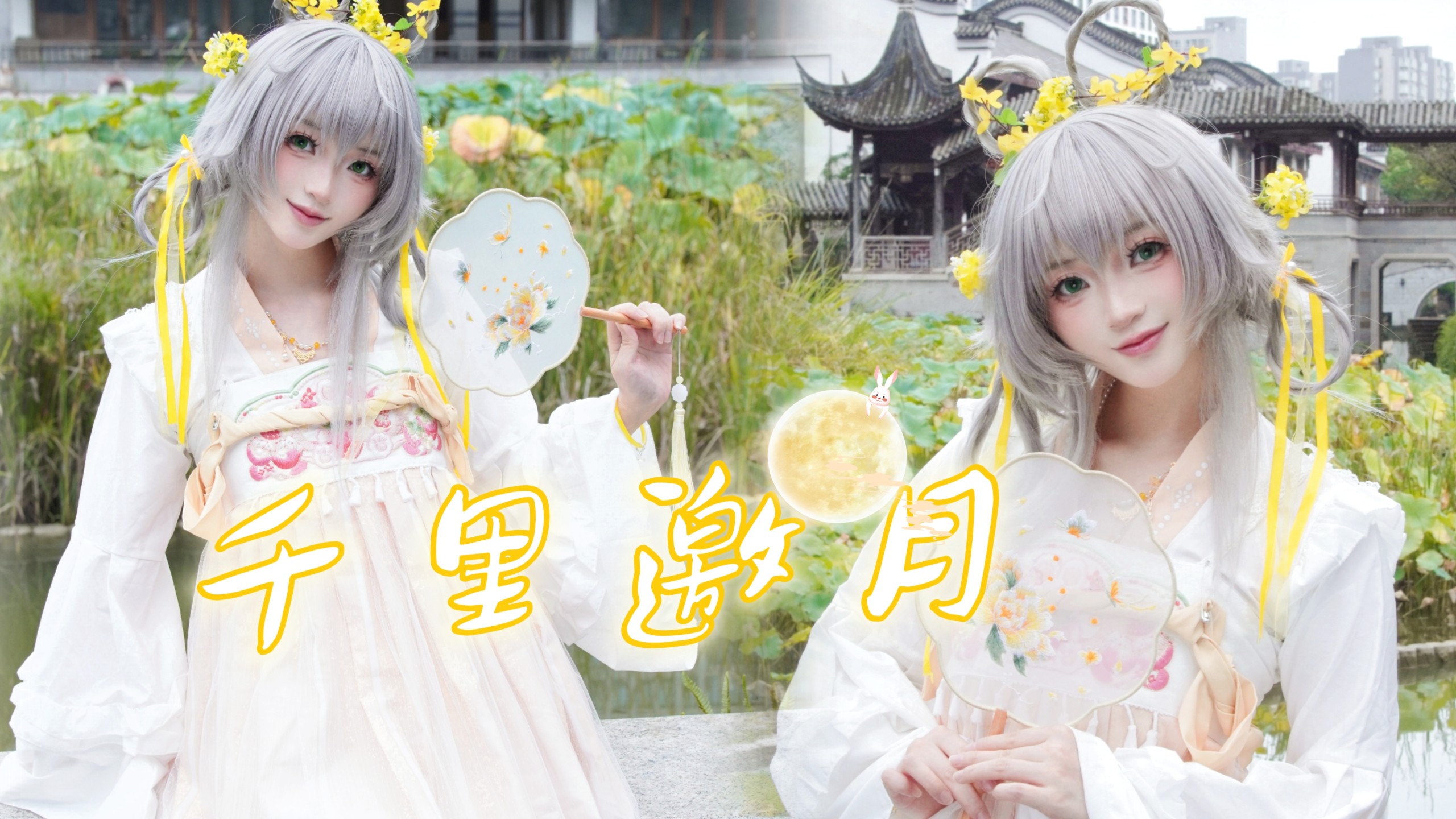 不知天上宫阙，今夕是何年｜千里邀月☽桂花兔天依版❀