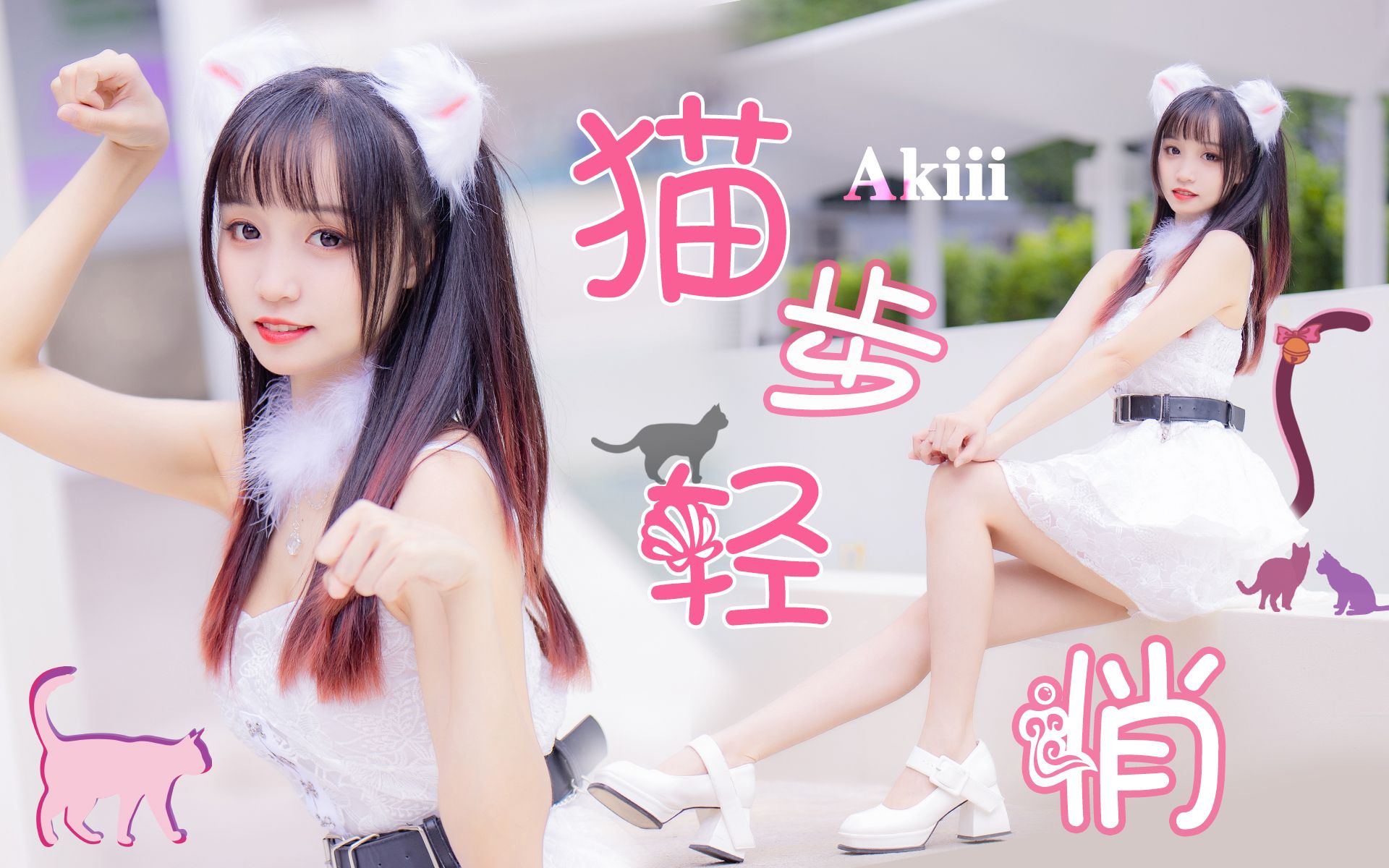 快醒醒！轮到你捡猫了 🐾AOA-猫步轻悄 Like a cat🐾【鱼丸】