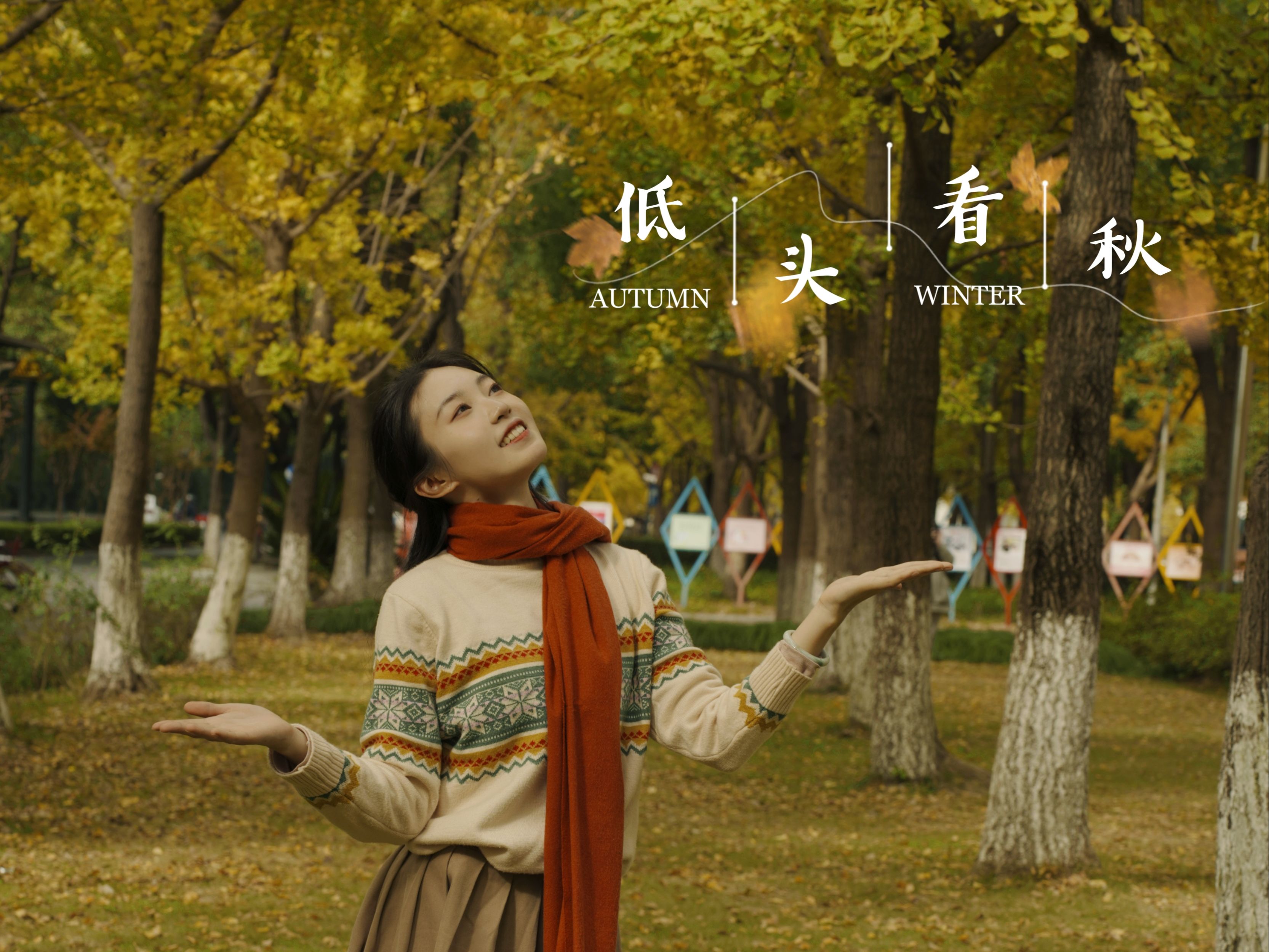 杭州|低头看秋，诗意地栖居在杭城的秋日时刻。