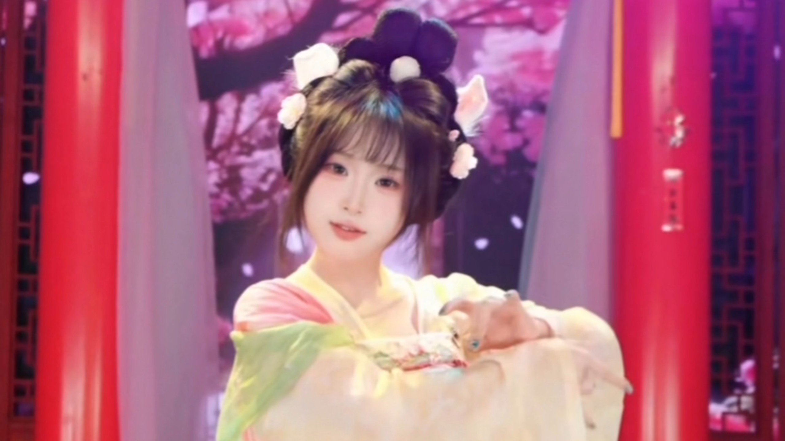 舞蹈 花雨落
