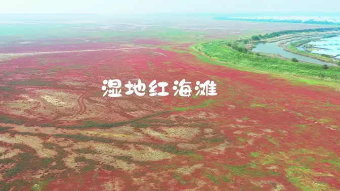 江苏红海滩航拍剪辑