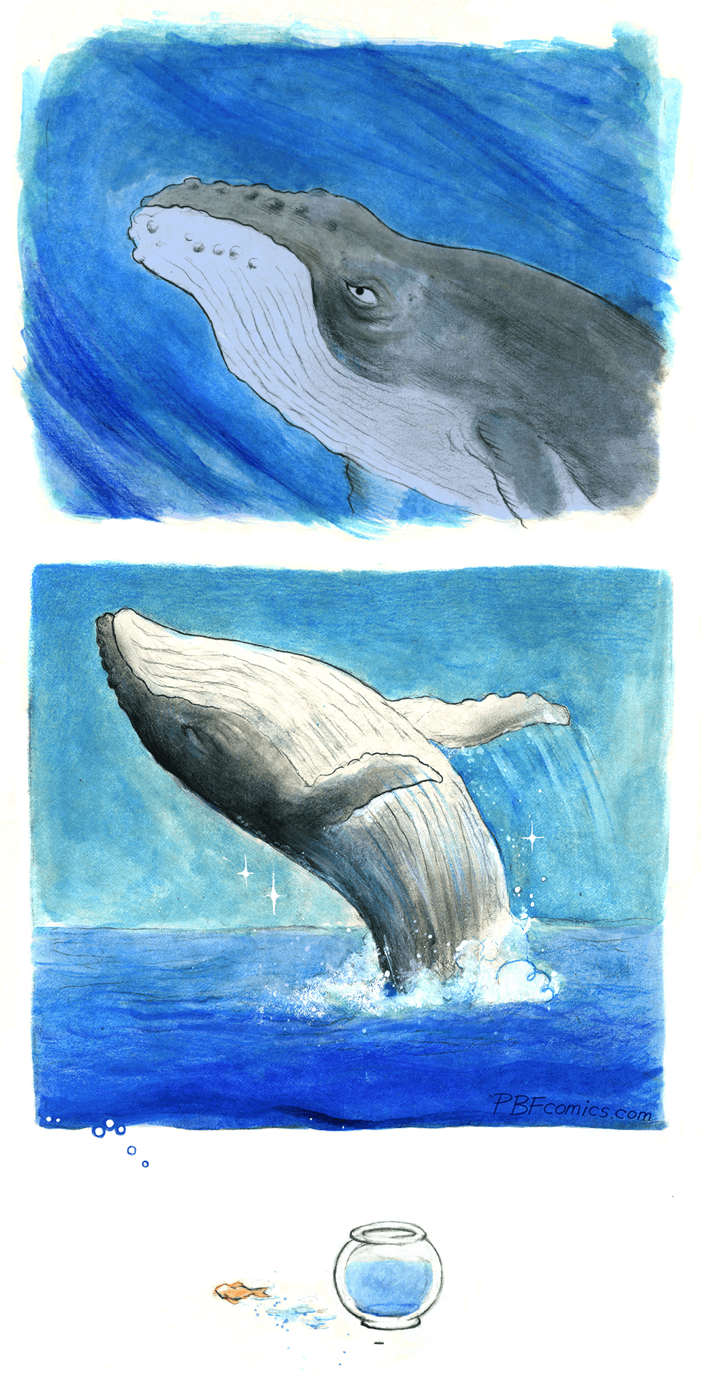 Big Fish