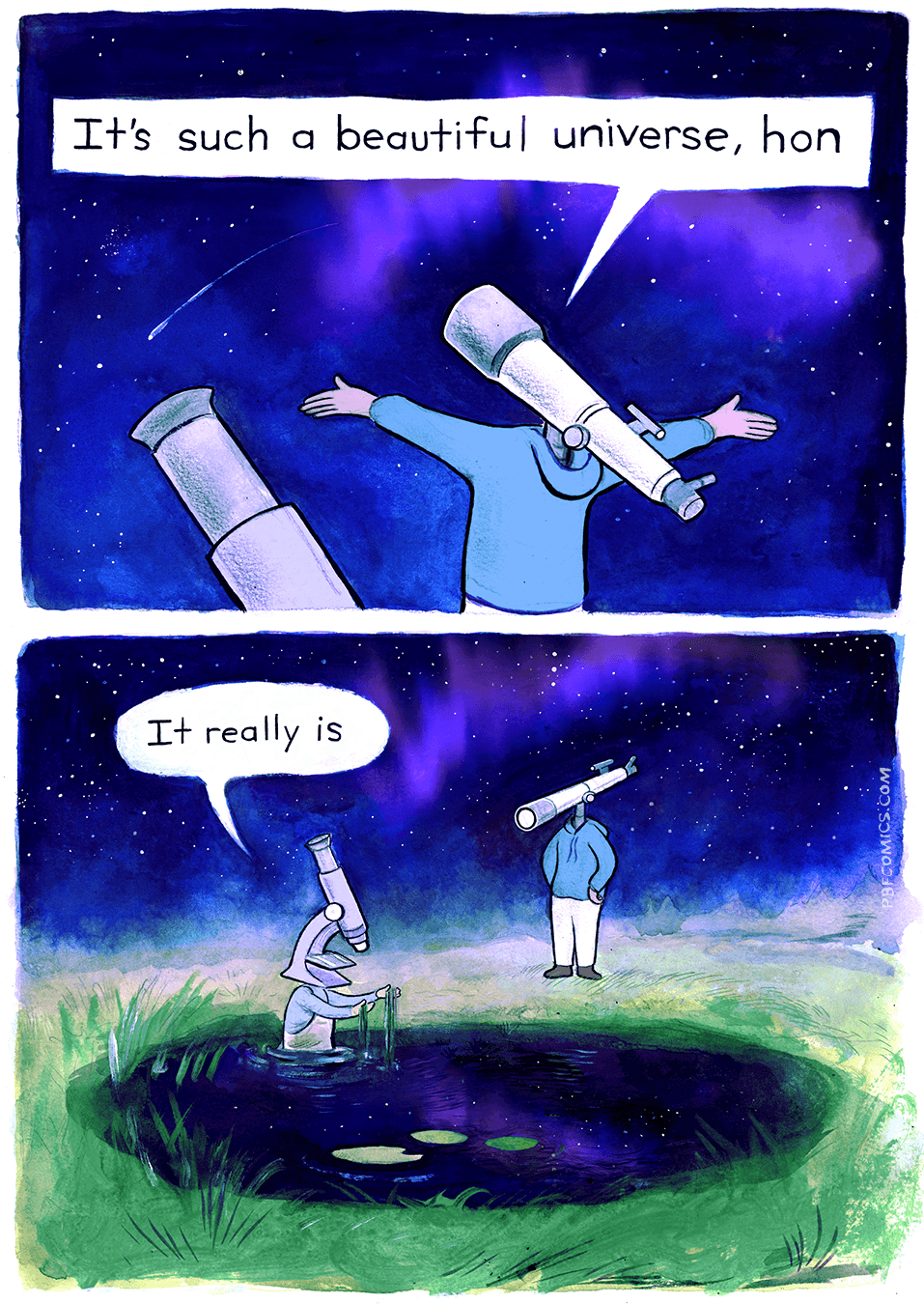 Beautiful Universe
