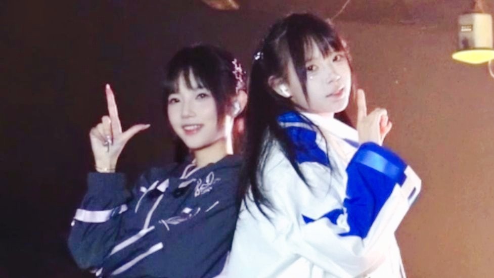 叮咚鸡↗↗↗↗