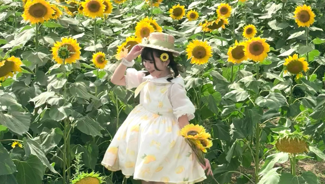 二八年华！我要辞职了☆（ゝ。∂）🌻